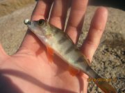IMG_0060.JPG