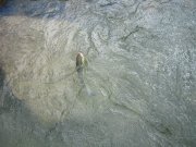 IMG_5810.jpg