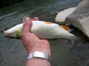 IMG_5813.jpg