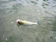 IMG_5812.jpg