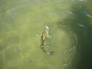 IMG_5325.jpg
