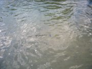 IMG_5826.jpg