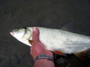 IMG_5819.jpg