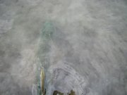 IMG_5821.jpg