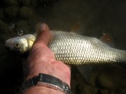 IMG_5732.jpg
