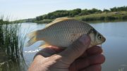 IMG_2216.jpg
