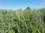 P01-07-14_09.43.jpg