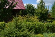DSC_0769.JPG