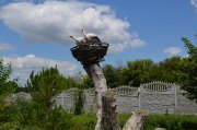 DSC_0770.JPG