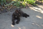 DSC_0876.JPG
