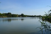 DSC_0928.JPG