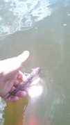 IMG_20140705_121247_9.jpg