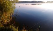 IMAG0091.jpg