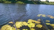 WP_20140705_002.jpg