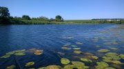 WP_20140705_004.jpg