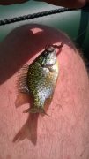 WP_20140705_009.jpg
