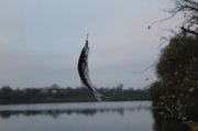 IMG_5649.JPG