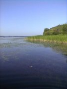 фотографія0184.jpg