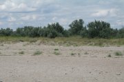07073733.JPG