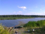 Фото3993.jpg