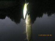 IMG_0065.JPG