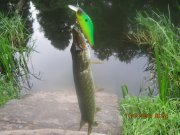 IMG_0067.JPG