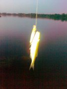 06072014631.jpg