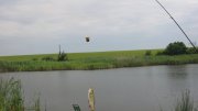 IMG_2230.jpg