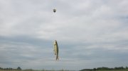 IMG_2231.jpg