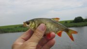 IMG_2232.jpg