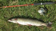 IMG_2239.jpg