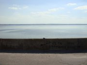 DSC05124.JPG