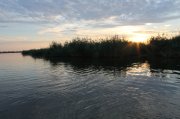 IMG_1635.JPG