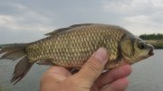 IMG_2257.jpg