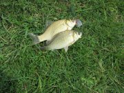 IMG_0055.JPG