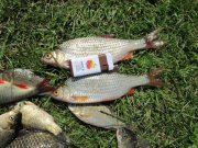 IMG_0058.JPG