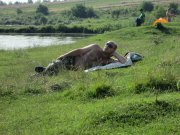 IMG_0051.JPG