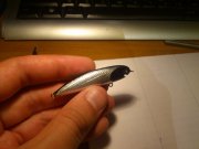 DSC_0011.jpg
