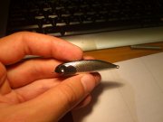 DSC_0015.jpg