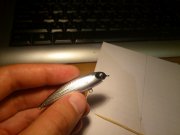 DSC_0026.jpg