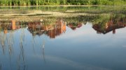 IMG_1261.jpg