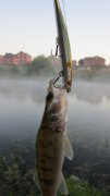 IMG_1248.jpg