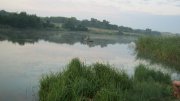 IMG_2261.jpg