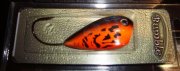 DSC09868.jpg