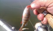 WP_20140710_002.jpg