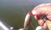 WP_20140710_003.jpg