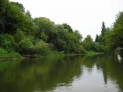 P1010028.JPG