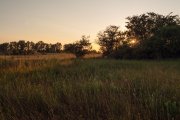 IMG_8001_resize.jpg