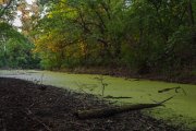 IMG_8022_resize.jpg