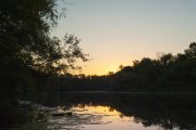 IMG_8081_resize.jpg